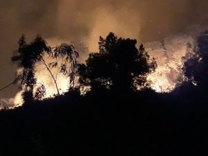 Đang Cháy Dữ Dội Rừng Thông Tại Hà Tĩnh, Khẩn Cấp Di Dời Hơn 80 Hộ Dân