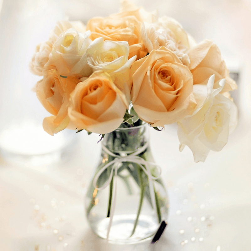 Hoa phi yến - Biểu tượng của tình yêu và hôn nhân