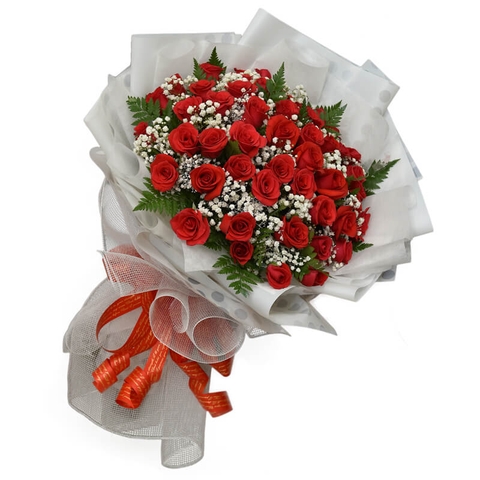 Bó Hoa Hồng Đỏ 50 Bông