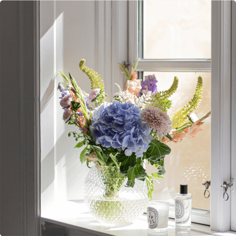 Những loài hoa đẹp và dễ trồng nhất cho nhà phố