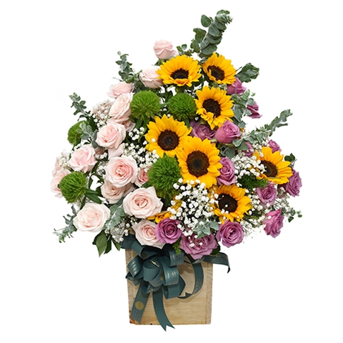 Bó hoa hướng dương