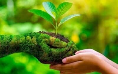 Thực Trạng Và Giải Pháp Xử Lý Rác Thải Công Nghiệp Ở Việt Nam