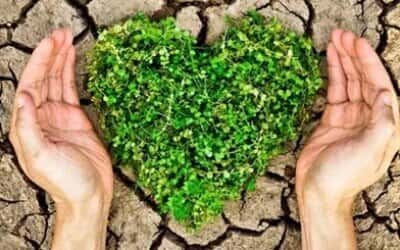 Thực Trạng Và Giải Pháp Xử Lý Rác Thải Công Nghiệp Ở Việt Nam