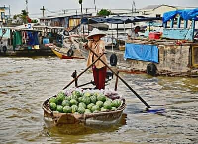 Album thư viện ảnh