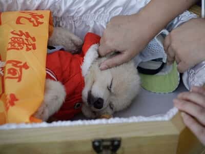 6 Bí Quyết Vàng Giúp Trẻ Sơ Sinh Thông Minh Hơn Người